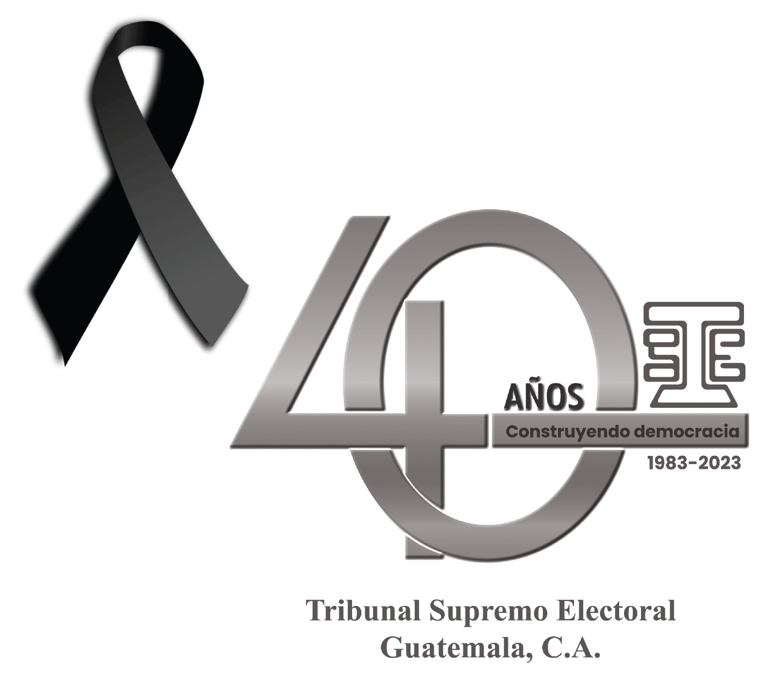 Tribunal Supremo Electoral