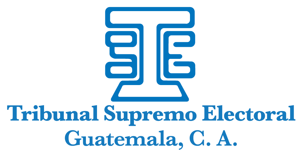 Logo Tribunal Supremo Electoral